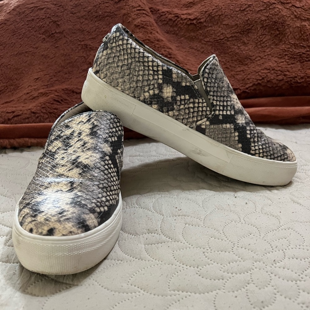 Steve Madden Snakeskin Shoes